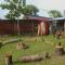 Hangtens Surf Skate Hostel
