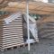 Kardelen Camping