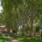 Holiday Inn - Johannesburg Sunnyside Park by IHG