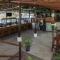 Best Western Tamarindo Vista Villas
