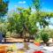 Thasos Seaside Serenity - Seaview & Garden Nests - Astris