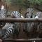 Marty's Rest - Marloth Park