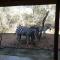 Marty's Rest - Marloth Park