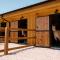 Sorrel - Lorrayne Ranch - Guffey