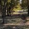 4 Cabins - Reindeer Ranch at Round Top - Carmine