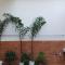Hotel Ayodhya Paying Guest