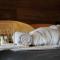 Le Premium - Suite Spa Privatif