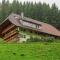 Cosy farmhouse apartment at the edge of the forest