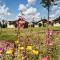 Holiday home in Markkleeberg near a lake