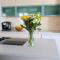 Luxury Apartment Strana