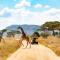 Kananga Special Tented Camp