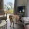 Neues Ferienhaus Nr 47 mit Meerblick 100 Meter zum Wattenmeer, eingezäunt, hundefreundlich