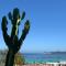 Cactus on the beach