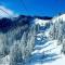 Cozy, spacious, quiet, with views of the slopes. - Comus