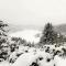 Cozy, spacious, quiet, with views of the slopes. - Comus