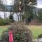 Family, Pet Friendly Sechelt Waterfront Home, Beach Access, Sleeps 14