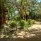 Lake Resort Bolgoda