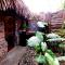 Duân Thảo homestay