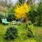 Casa relax immersa nel verde della natura