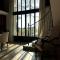 Luxury Provencal Villa amidst own vinyards