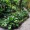 Jacana Amazon Wellness Resort - Paramaribo