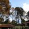 "Tempat Senang" chalet on the beautiful Veluwe with airco sauna bbq jacuzzi beamer and dog