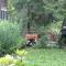 STREAMSIDE CABIN IN THE CATSKILLS - Chichester