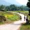 Duân Thảo homestay - 和平