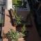 ZMITH Apartment - BROOKE, Near AIS, GIO Stadium, UC, & Nth - Canberra Hospital