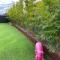 On the Park-Modern 4 Bedroom -3 Living Area Home 100m to Parks and Shopping Centre