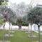 The Olive Tree