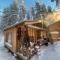 the off grid wilderness cabins - Norsjö