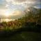 Hotel Bambu