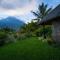 Hotel Bambu