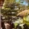 Coconut Lodge
