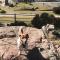 Monoambiente Dique Pet Friendly