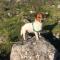 Monoambiente Dique Pet Friendly