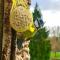 Green Home - La Roche-Guyon - Adults Only
