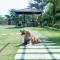 StayVista at The Francolin Farm with Free Breakfast, Infinity Pool & Jacuzzi