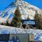 Appartement Duplex 68 m2 dans chalet 250 m des pistes - 艾尔比蒙通