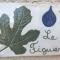 Le Figuier - Tulette