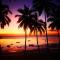 Villa NOAH BEACH ZANZIBAR - 吉汶瓦
