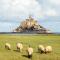 Vue sur le Mont St Michel, Grand confort et bien équipé - Huisnes-sur-Mer