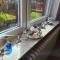 Janssen Comfortable holiday residence - Norddeich