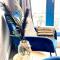 Sea views - Harbour view, Torquay Central location - توركواي
