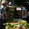 Hotel Paganella, Tradition In Hospitality