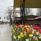Columbus Motor Inn