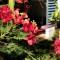 Appt Althea avec Jardin privé proche lagon - La Saline-les-bains - 圣保罗