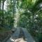 The Hive, Wayanad - Wayanad