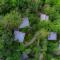 The Hive Wayanad The Hive Wayanad